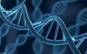 DNA和RNA纯化